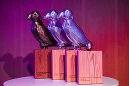 The Golden Puffin is the main award presented at RIFF.