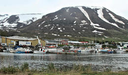 Löðrungar reyndust dýrkeyptir fyrir Dalvíkurbyggð 