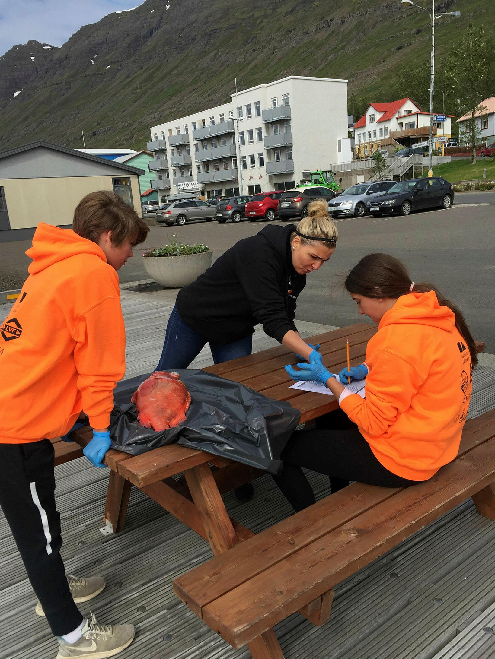 Skynmat fiska kennt í sjávarútvegsskólanum á Austurlandi.