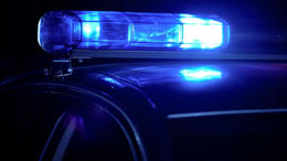 Þjófur handtekinn og sendur úr landi