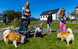 Bongóblíða vesturhelmingi landsins
