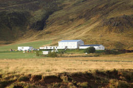 Trans fangi afplánaði með konum á Sogni