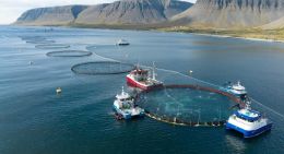 53 milljarða útflutningsverðmæti fiskeldis
