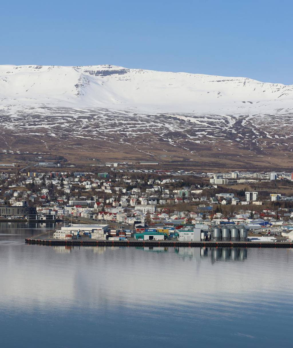 „Þetta er orðið vandamál. Það er mikil fjölgun í slysum …