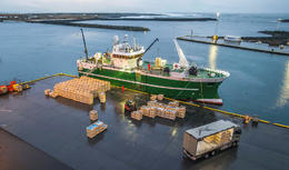 Útflutningur ógnar góðu orðspori