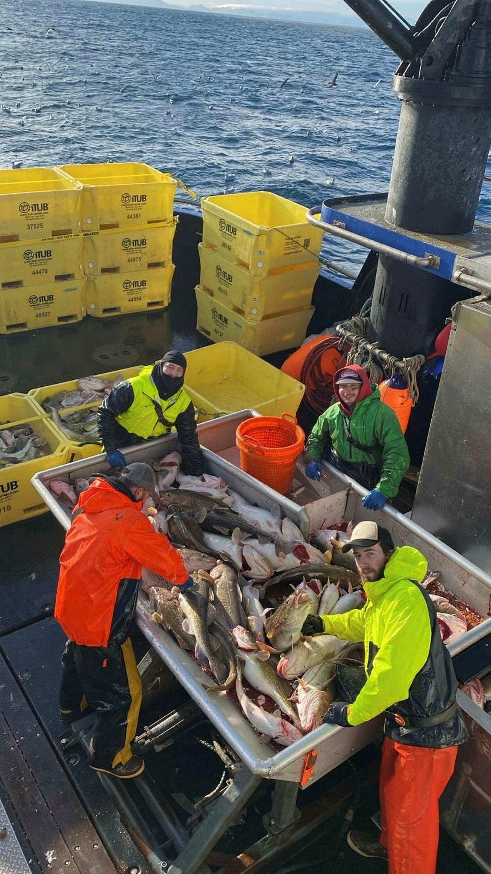 Pioneer in Alaska applies Icelandic methods