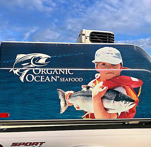 The fish connects Canada and Iceland
