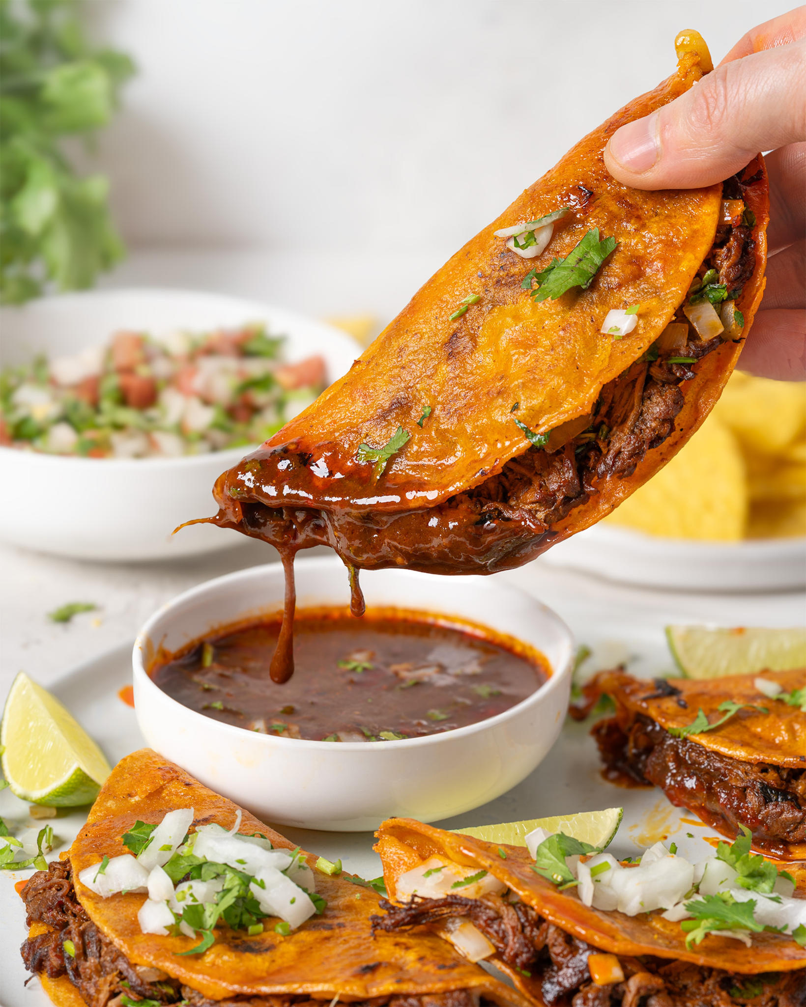 Birria er hægelduð kjötmáltíð í ríku og krydduðu chili-soði og …