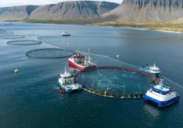 Harma launalækkanir starfsfólks í fiskeldi