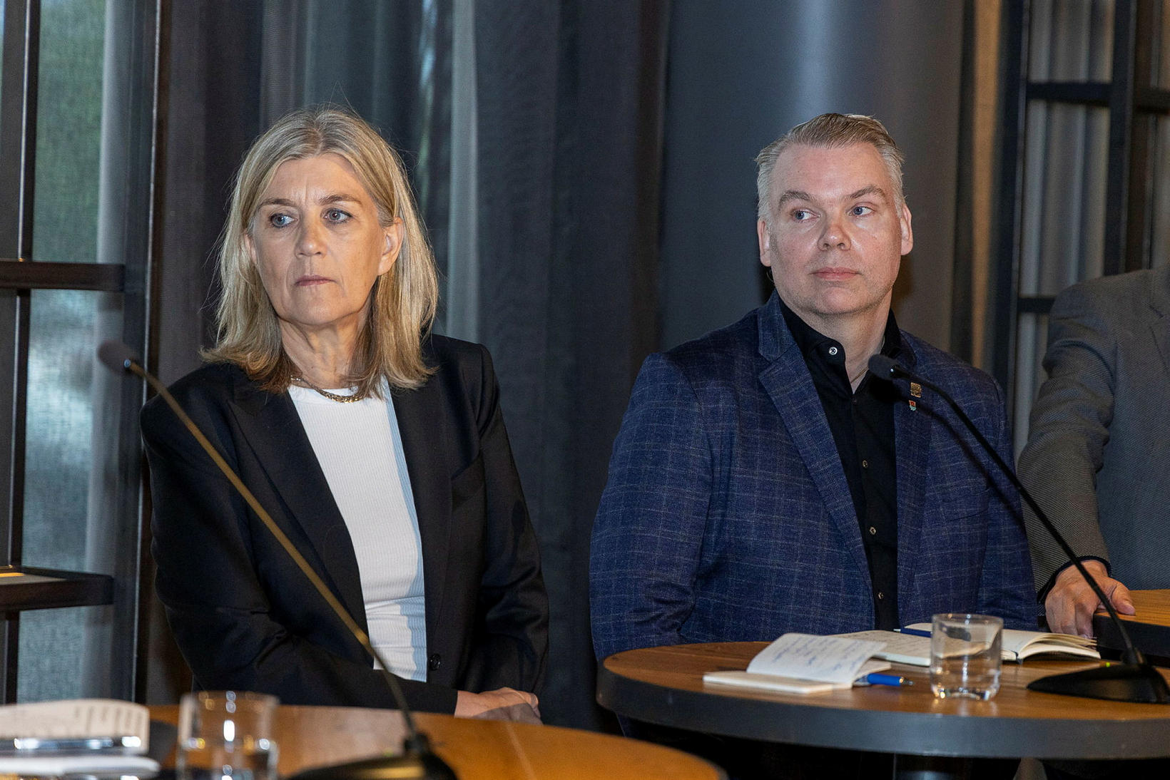 Do not want to see « a special gold -plated Icelandic system »