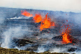 There is severe gas pollution in the area.