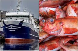 Russian Trawlers Fishing for Ocean Perch in International Waters Near Icelandic Jurisdiction.