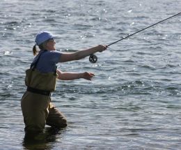 The catch so far this summer has been disappointing.
