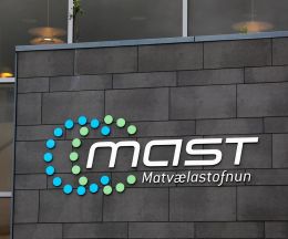 Innkalla grænmetisbollur og -buff