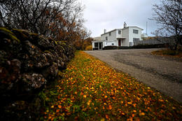 The leaves are falling from the trees at Gljúfrasteinn, the former home of Halldór Laxness — just like the Nobel laureate’s books are falling off the curricula of Icelandic schools.