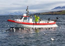 The minister of infrastructure has yet to issue the regulation on the final allocation of quotas in the social fisheries pot, which includes, among other things, the longline rebate.