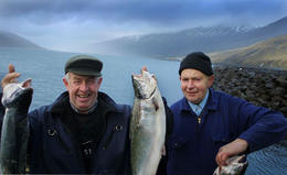 „Alveg skelfilegt að búa við þetta“