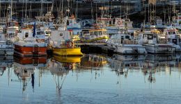 Flöskuháls í veitingu strandveiðileyfa