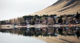 Hafa lagt fram kæru vegna eitruðu pylsubitanna