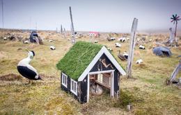 Fuglar og menn heimsfrumsýnd á CPH:DOX