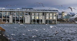 Specialists are intended to help managers address the problem.