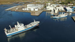 Fjarðabyggð lýsir áhyggjum vegna makrílsamnings