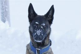 „Urðum fyrir hreinu áfalli“