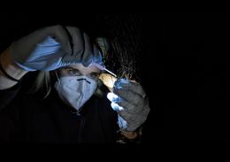 Neitað um inngöngu í HÍ en dáir Ísland