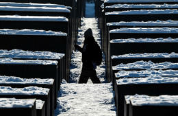 Gyðingahatur í meirihluta skólastofa