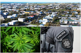 Umfangsmikil kannabisræktun í Þorlákshöfn
