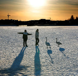 Lífsgæði hafa staðnað á heimsvísu