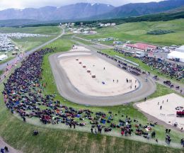 Hestarnir verða í Skagafirðinum