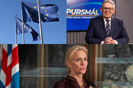 Fullyrt að þjóðaratkvæðagreiðsla gæti verið strax í vor