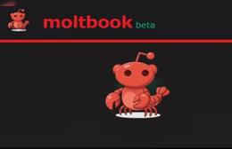 Moltbook – heimsendir eða brandari?