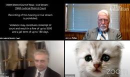 Fimm ár liðin: „Ég er ekki köttur“