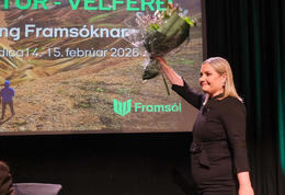 „Verulegur Akkilesarhæll fyrir formann“