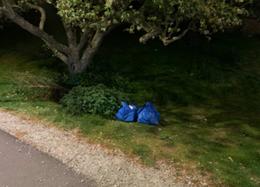 Kynstur af kókaíni í IKEA-pokum