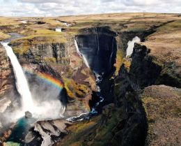 Óvæntar vinsældir í netheimum