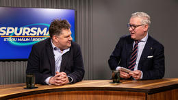 Stakk upp á að geyma Evrópuumræðuna