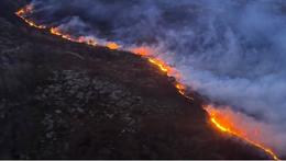 Sviðin jörð í Þrændalögum