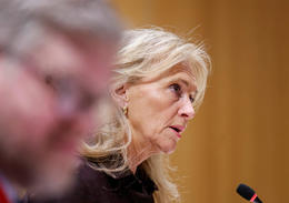 Segir ESB bera virðingu fyrir ferli Íslands