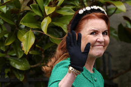 Hafnar því að hafa ætlað að klóna hunda drottningarinnar