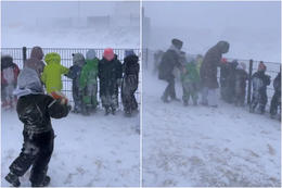 „Svona elur þú upp alvöru víkinga á Íslandi“