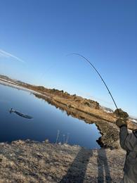 Langþráð veiðitímabil hófst í dag