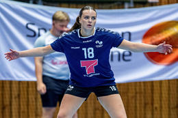 Ekkert grín þegar fólk segir að þetta sé ekki dans á rósum