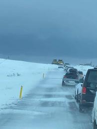 Féll af hestbaki og flutt með sjúkrabíl