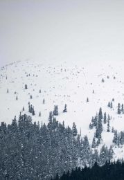 Tveir skíðamenn fórust í snjóflóði