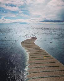 Kolmunnaveiðar á gráa svæðinu