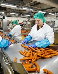 „Öfgakennd forsjárhyggja“