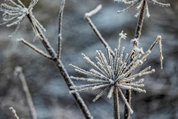 Vísbendingar um kólnandi hagkerfi